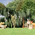 Outdoor Floral Display With Hanging Plants White Flowers And Fruits In Green Grass