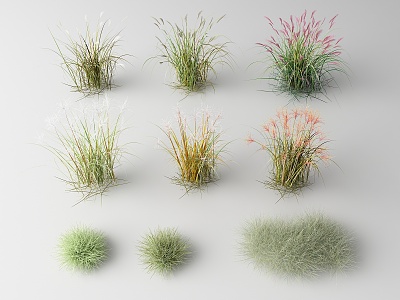 Modern Grass model