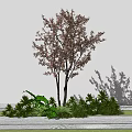 Arbor With Pink Flowers Two Trunks Surrounded By Green Shrubs And Plants On White Ground