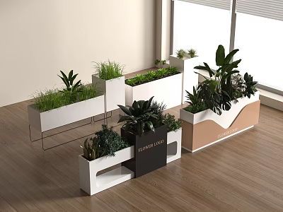 Modern Indoor Plant Combinations in Stylish Planters with Natural Light and Wooden Floors 3d model