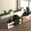 Modern Indoor Plant Combinations in Stylish Planters with Natural Light and Wooden Floors