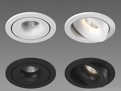 Modern Downlights And Spotlights With White Black Finish Fixed Adjustable Angle Design 3d model