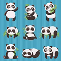 Cute Panda Themed Wall Decor with Various Poses Bamboo and Blue Striped Background