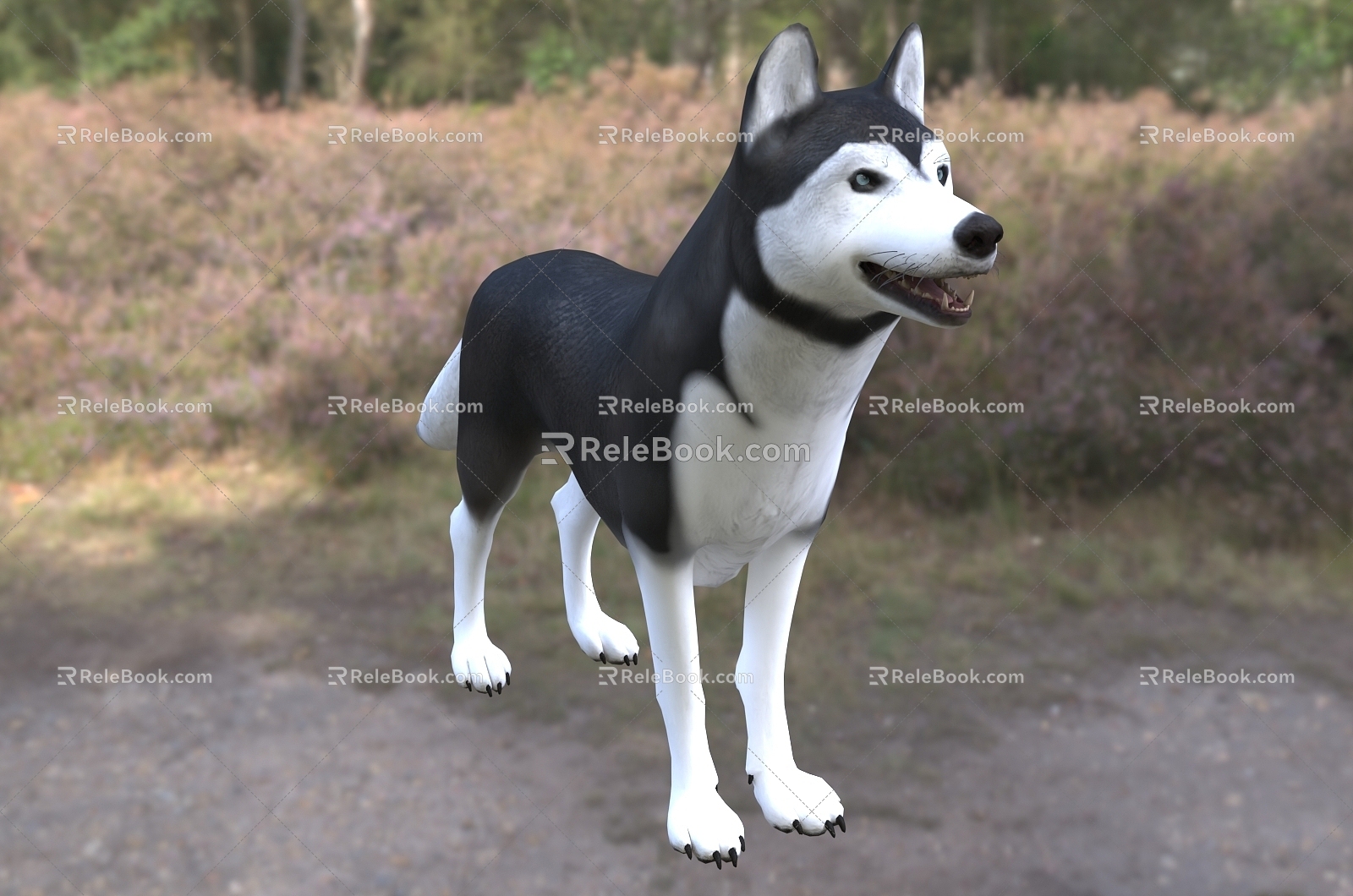 Modern Siberian Husky Husky Dog Dog Animal Creatures 3d model