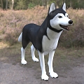 Modern Siberian Husky Husky Dog Dog Animal Creatures 3d model