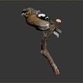 bird bird bird bird game animal cartoon animal animal realistic animal 3d model