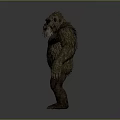 Tall Shaggy Furred Humanoid Creature With Muscular Build In Standing Posture