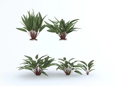 Green Plants With Multiple Different Shapes Lush Leaves And Red Roots 3d model