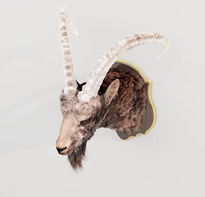 Rustic Mountain Goat Head Mount Wall Decor With Golden Frame Hanging On Wall 3d model