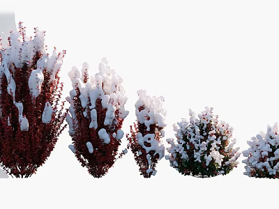 Snow Covered Shrubs In Different Colors Arranged In A Winter Landscape 3d model