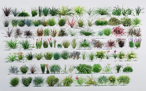 Modern Grass Ornamental Grass Plants Flowers and Grasses Shrubs Grass Landscape Plants 3d model
