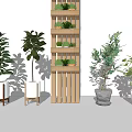 Bonsai Potted Plants Display With Wooden Shelf And Various Greenery Planters
