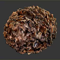 Fresh Pine Nuts In Natural Pine Cone On Black Reflective Surface 3d model