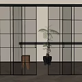 Modern Interior Sliding Doors With Black Frame Glass Panels And Indoor Plant
