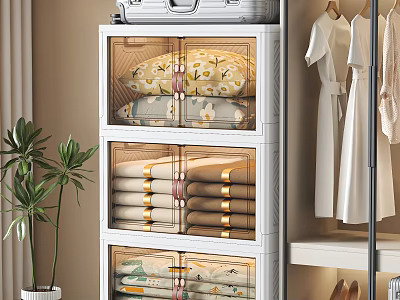 Multi layer Transparent Drawer Storage Cabinet for Clothes Bedding Organization in Closet with Hanging Clothes and Potted Plant 3d model