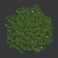 Festive Decorated Pine Tree With Green Branches And Colorful Decorative Balls