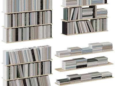 Organized Books And Magazines On Shelves With Stacked Arrangements And Varied Sizes 3d model
