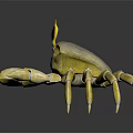 Yellow Crab With Black Eyes And Claws On Black Reflective Background
