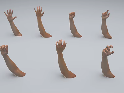 Man's Arms And Hands In Different Poses On White Background 3d model