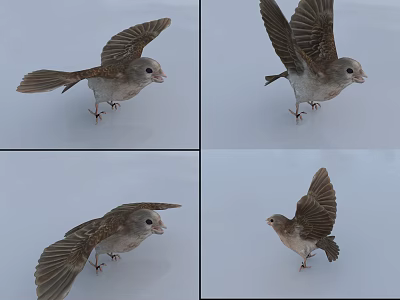 Small Flying Bird With Spread Wings In Various Angles And Natural Poses 3d model