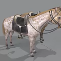 Two Saddled Horses With Different Coat Colors Standing On Gray Background