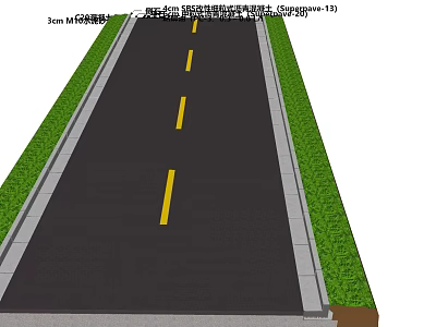 Well Designed Road Facilities Featuring Asphalt Pavement Yellow Center Lines Curb and Grass Verge 3d model
