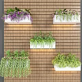 Wall Mounted Potted Plants With White Planters Purple Flowers And Hanging Greenery On Wooden Wall