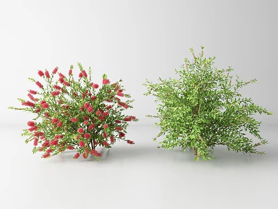 Decorative Shrubs With Red Flowers And Green Foliage For Home Garden Decor 3d model