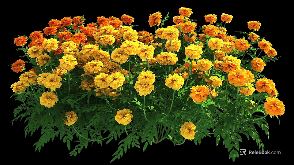 Vibrant Yellow and Orange Marigold Flowers with Lush Green Leaves in Garden 3d model 