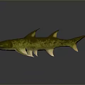 Green and Yellow Aquatic Fish With Spiked Dorsal Fins Streamlined Body And Pale Underbelly