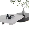 Modern Coffee Table With Unique Shape Two Tone Design Vase And Green Plants Decor 3d model