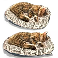 Two Tabby Cats Sleeping Peacefully On Colorful Star Pattern Pet Beds