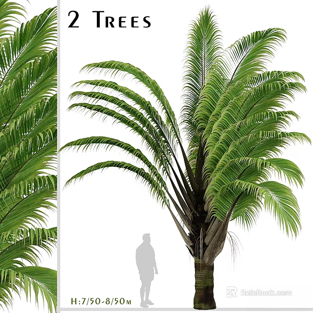 Realistic Palm Tree Decorative Ornament Set With Green Leaves For Home Decor 3d model 