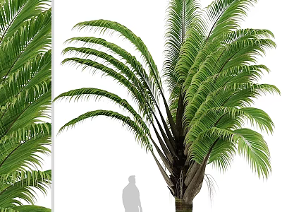 Realistic Palm Tree Decorative Ornament Set With Green Leaves For Home Decor 3d model