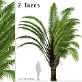 Realistic Palm Tree Decorative Ornament Set With Green Leaves For Home Decor