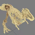 Detailed Dinosaur Skeleton Fossil With Prehistoric Bone Structure And Lifelike Anatomical