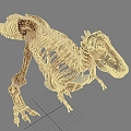 Modern Other Skeleton Dinosaur Trex 3d model