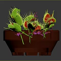 Venus flytrap plant in red pot with green leaves yellow spines and red interior against dark background