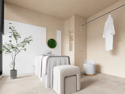 Modern SPA Sauna Room With Beige Interior Green Plant White Towels Robe And Round Mirror 3d model