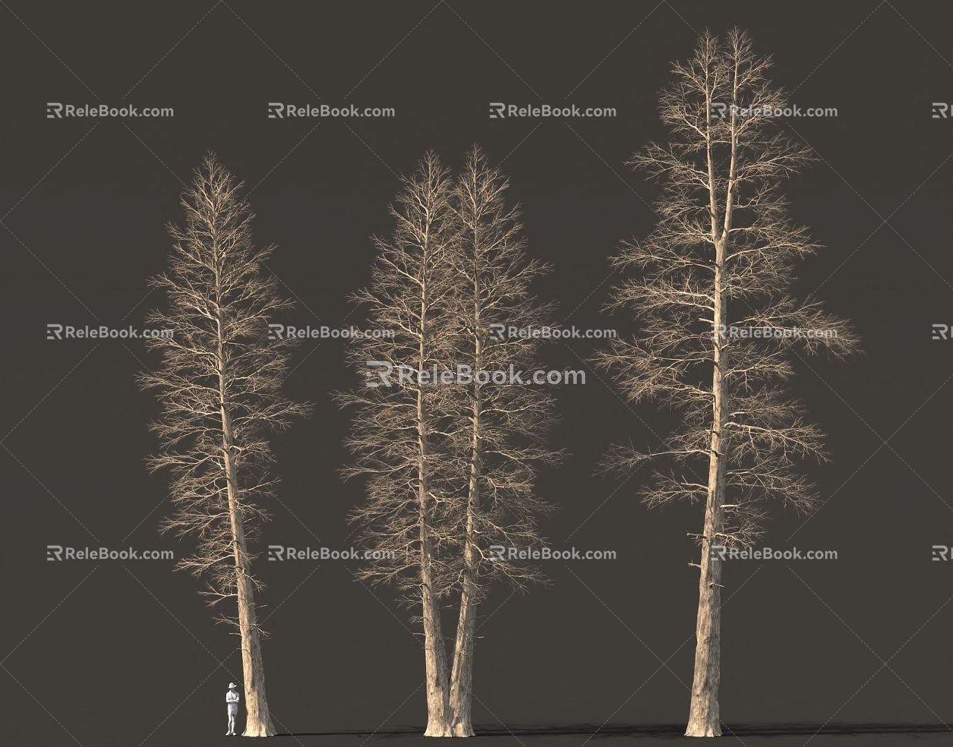 Dead Trunk Forest Big Tree High Pole Bird's Eye View Tree Pine Tree National Style Ancient Tree 3d model