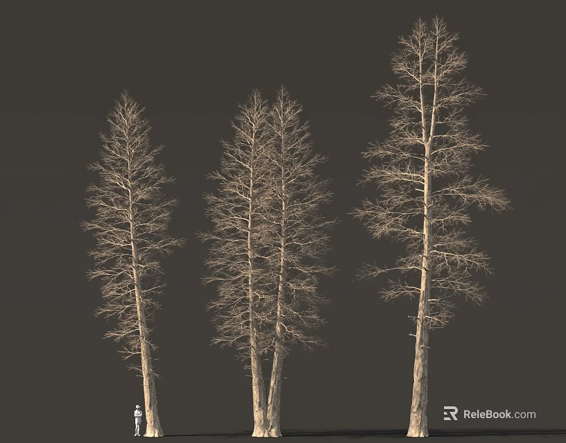 Three Leafless Trees Against Dark Background With Small Figure At Bottom 3d model 