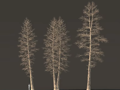 Three Leafless Trees Against Dark Background With Small Figure At Bottom 3d model
