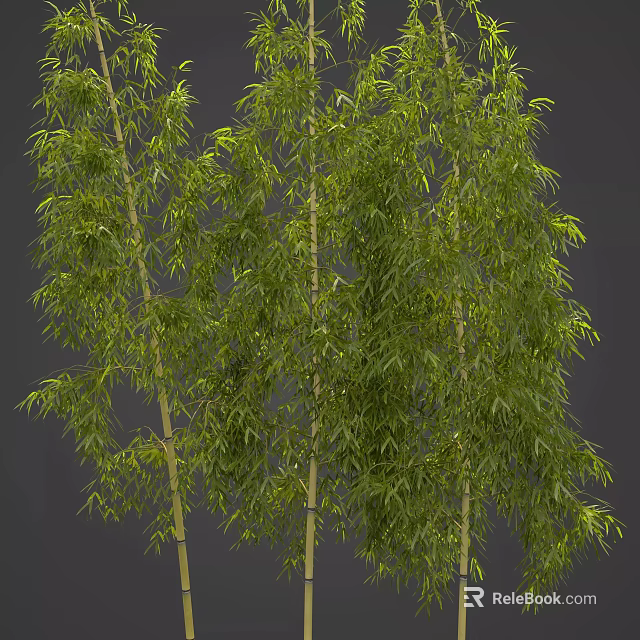 Tall Lush Green Bamboo Stems With Dense Foliage And Fresh Leaves 3d model 