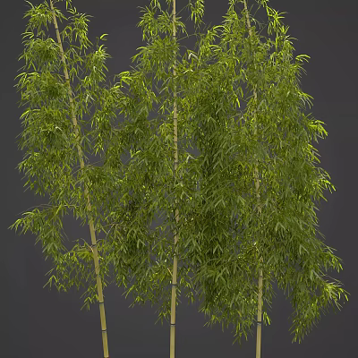 Tall Lush Green Bamboo Stems With Dense Foliage And Fresh Leaves 3d model