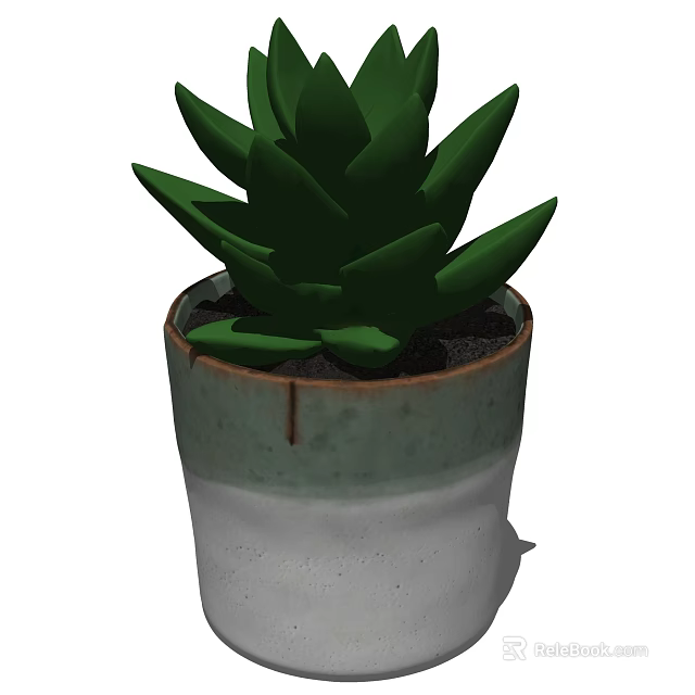 Green Succulent Potted Plant in White and Green Ceramic Pot for Indoor Decor 3d model 