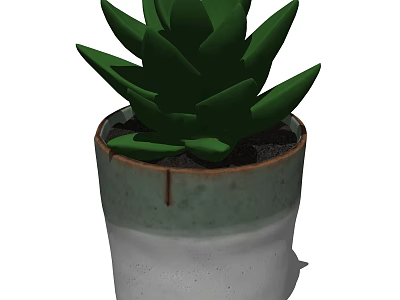 Green Succulent Potted Plant in White and Green Ceramic Pot for Indoor Decor 3d model