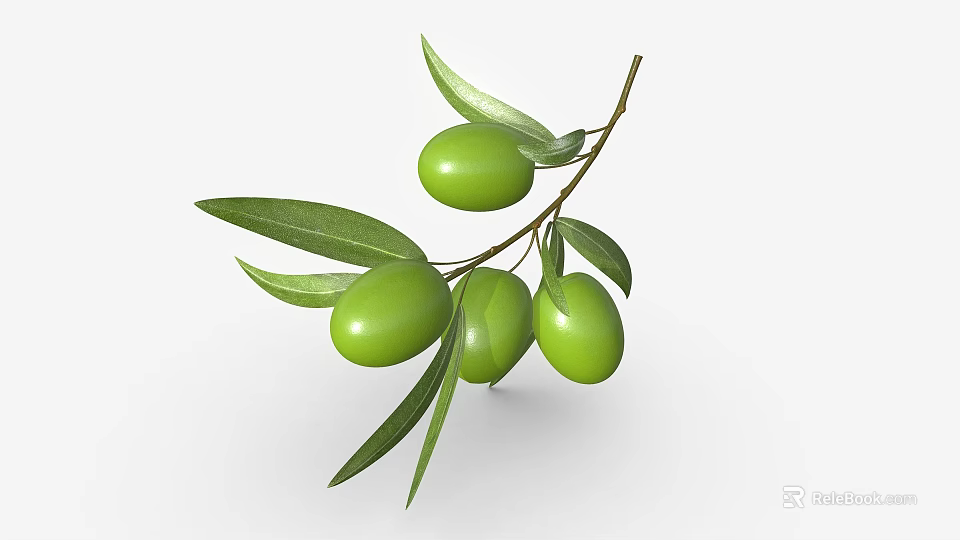 Green Olive Branch With Fresh Green Olives And Vibrant Leaves On White Background 3d model 