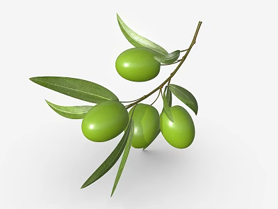 Green Olive Branch With Fresh Green Olives And Vibrant Leaves On White Background 3d model