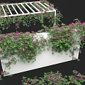 Lush Green Vines With Purple Flowers Covering White Decorative Trellis Structure