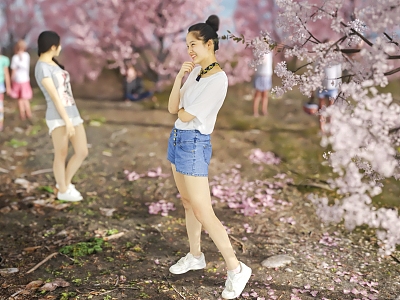 Women many Asian women cherry blossom peach blossom spring outing photo plant petals beauty 3d model